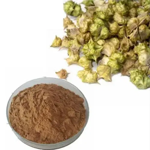 Tribulus Terrestris dried fruits and extract powder – key prostate support ingredient in Manjuba Caps